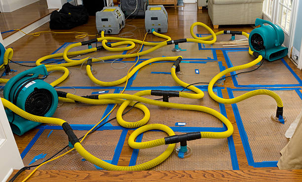 Professional Crawl Space Water Removal technician working in Patterson, LA